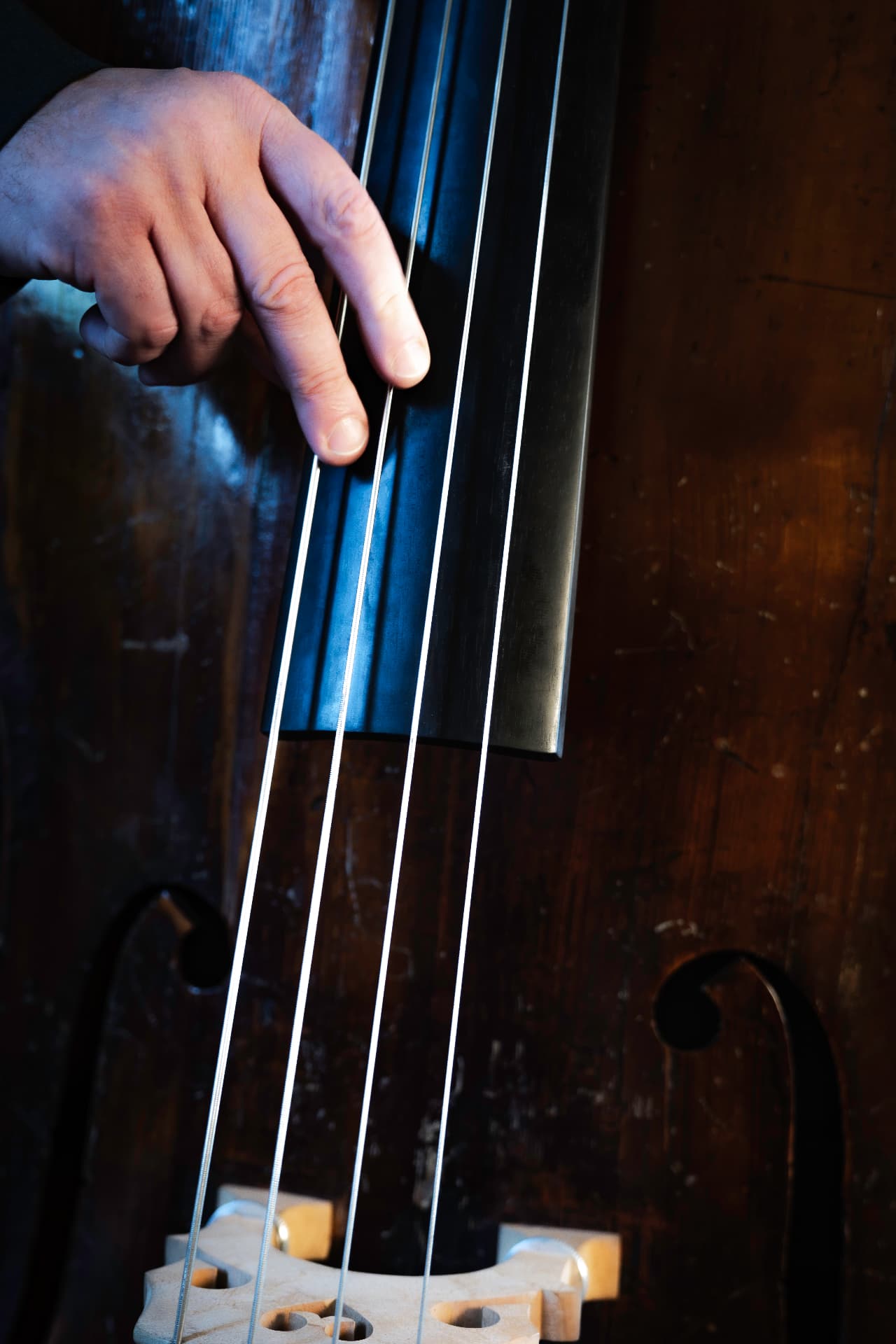 Close-up of Per playing double bass